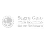 State Grid